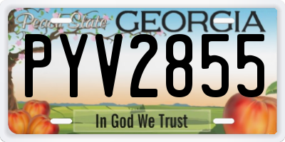 GA license plate PYV2855