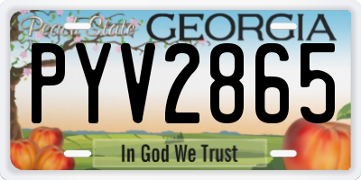 GA license plate PYV2865