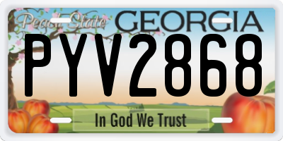 GA license plate PYV2868