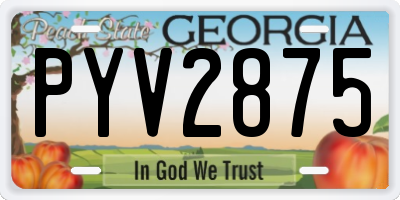 GA license plate PYV2875