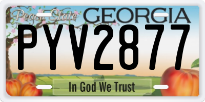 GA license plate PYV2877