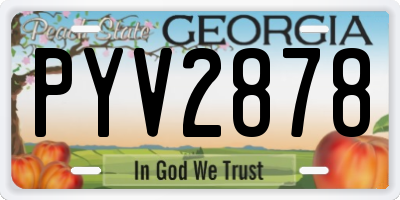 GA license plate PYV2878