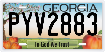 GA license plate PYV2883