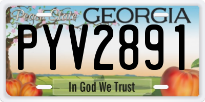 GA license plate PYV2891