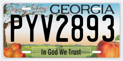 GA license plate PYV2893
