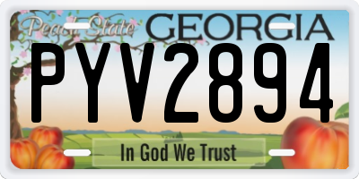 GA license plate PYV2894