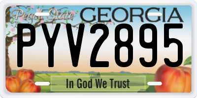 GA license plate PYV2895