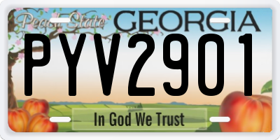 GA license plate PYV2901