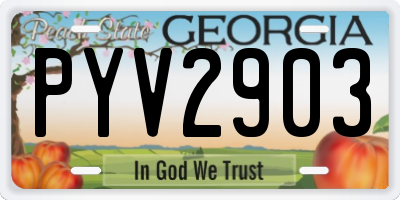 GA license plate PYV2903