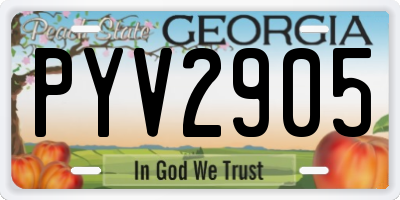 GA license plate PYV2905