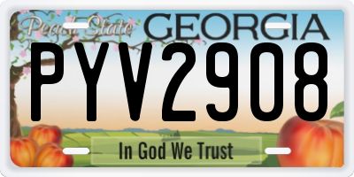 GA license plate PYV2908