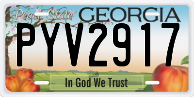GA license plate PYV2917