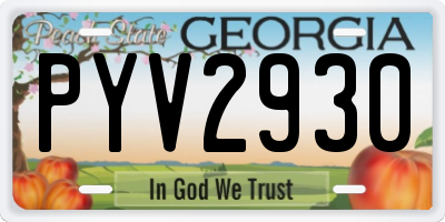 GA license plate PYV2930