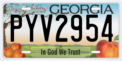 GA license plate PYV2954