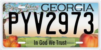 GA license plate PYV2973