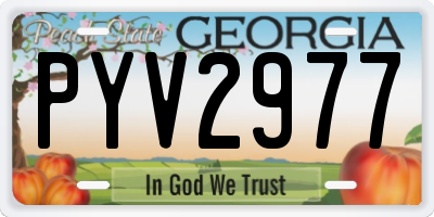 GA license plate PYV2977