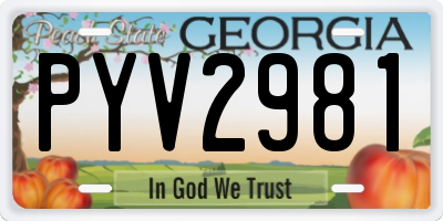 GA license plate PYV2981
