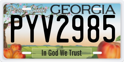 GA license plate PYV2985