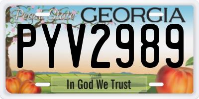 GA license plate PYV2989
