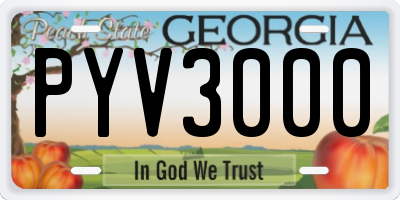 GA license plate PYV3000