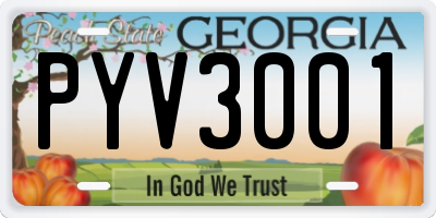 GA license plate PYV3001