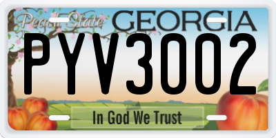 GA license plate PYV3002