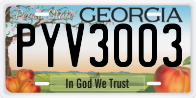 GA license plate PYV3003