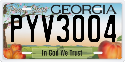 GA license plate PYV3004