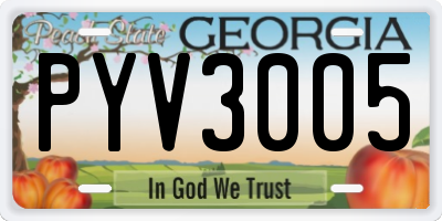 GA license plate PYV3005