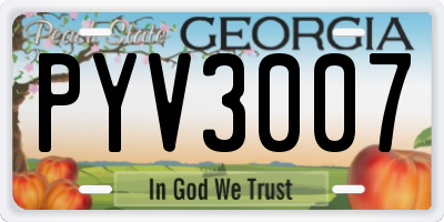 GA license plate PYV3007