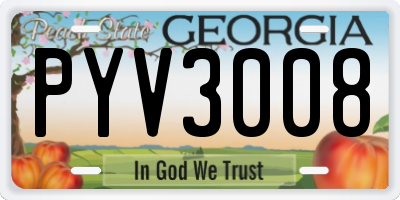 GA license plate PYV3008