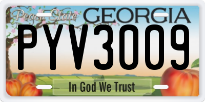 GA license plate PYV3009