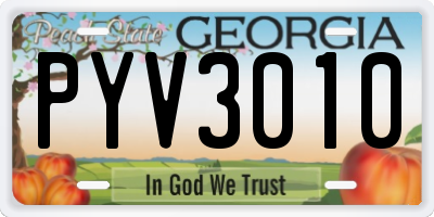 GA license plate PYV3010