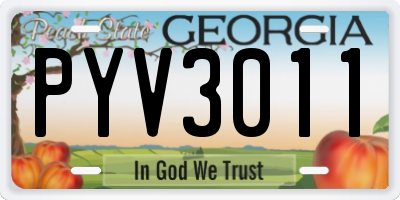 GA license plate PYV3011