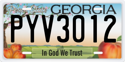 GA license plate PYV3012