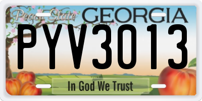 GA license plate PYV3013