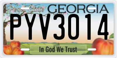 GA license plate PYV3014