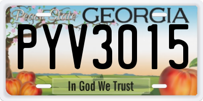 GA license plate PYV3015