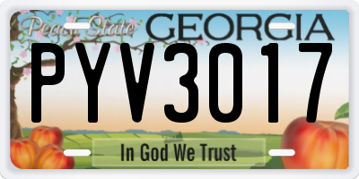 GA license plate PYV3017