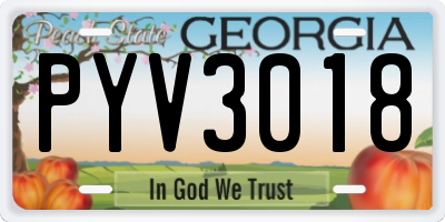 GA license plate PYV3018