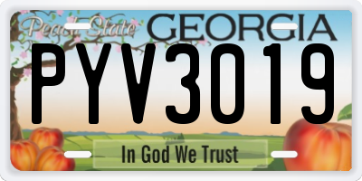 GA license plate PYV3019