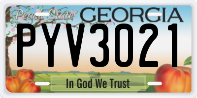GA license plate PYV3021