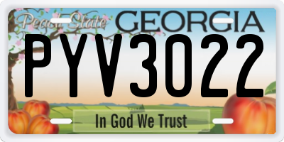 GA license plate PYV3022
