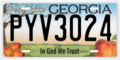 GA license plate PYV3024