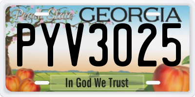 GA license plate PYV3025