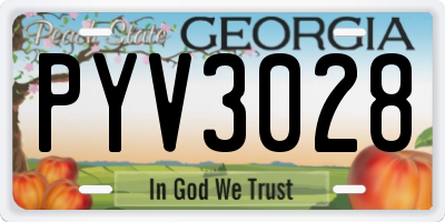 GA license plate PYV3028