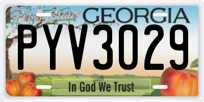 GA license plate PYV3029