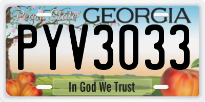 GA license plate PYV3033