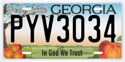 GA license plate PYV3034