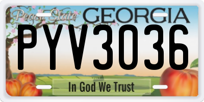 GA license plate PYV3036